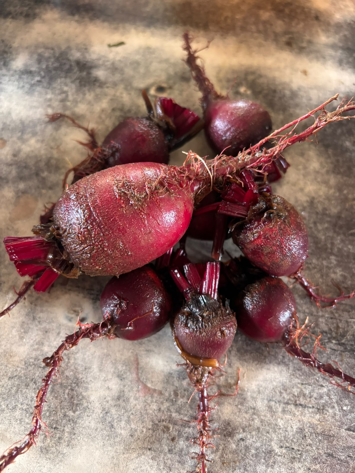 Freshly harvested beetroots